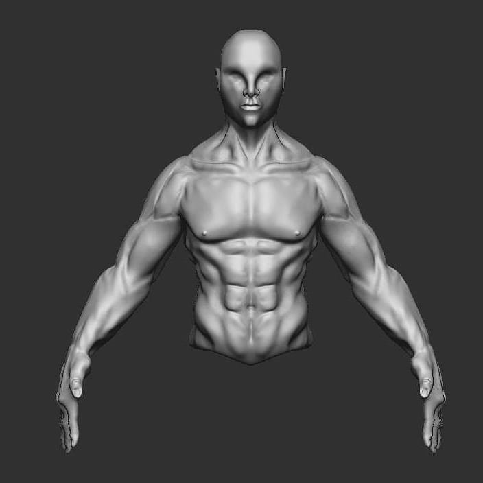 male torso front