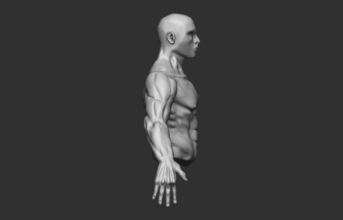 male torso side