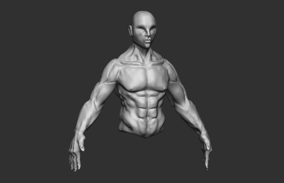 male torso 3/4