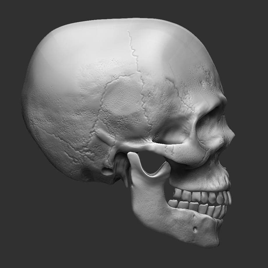 skull side