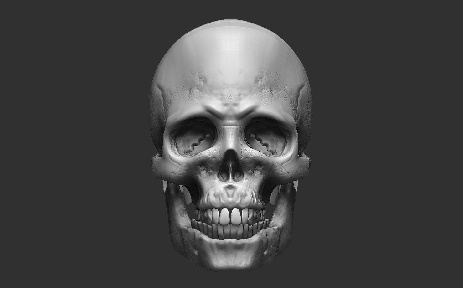 skull front