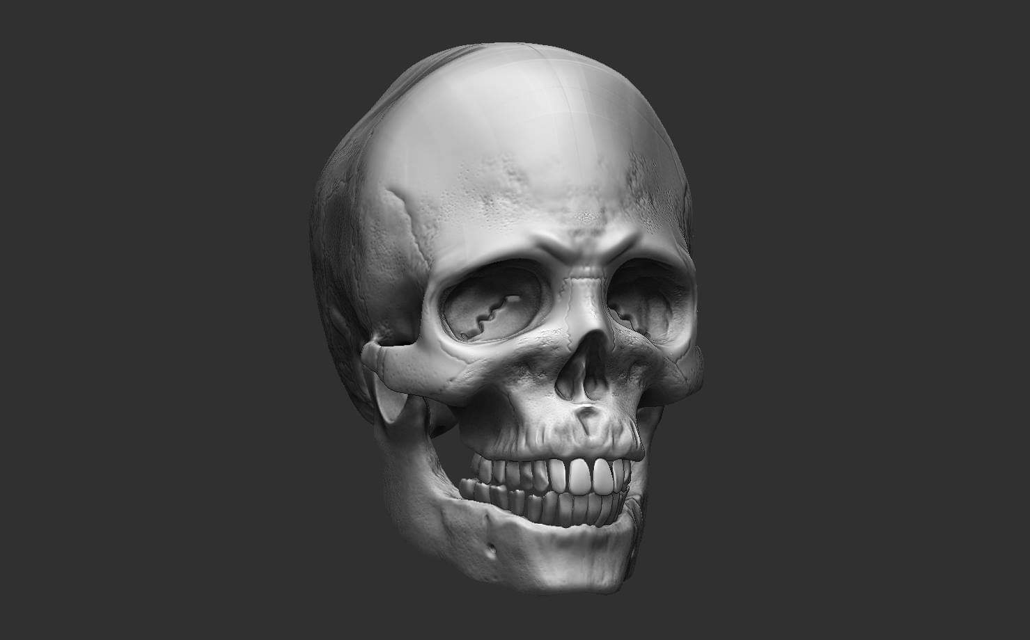 skull 3/4